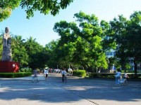 海南大學(xué)師范學(xué)院海甸校區(qū)2020年招生錄取分?jǐn)?shù)線(xiàn)