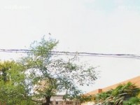 西安職業(yè)中等幼師專業(yè)學校2023年報名條件、招生要求、招生對象
