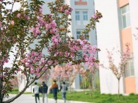 渭南職業(yè)技術(shù)師范學(xué)院朝陽校區(qū)2023年學(xué)費(fèi)、收費(fèi)多少