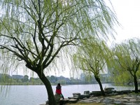 金華職業(yè)技術(shù)師范學(xué)院2023年學(xué)費(fèi)、收費(fèi)多少