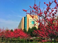 陜西中醫(yī)藥師范大學南校區(qū)歷年招生錄取分數線