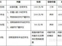 四川文軒職業(yè)幼兒師范學(xué)校2023年學(xué)費、收費多少