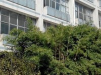 貴州貴陽中山科技幼兒師范學(xué)校2023年學(xué)費(fèi)、收費(fèi)多少