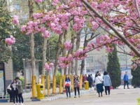 石家莊法商幼兒師范中等專業(yè)學(xué)校2023年學(xué)費、收費多少