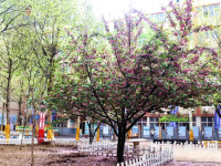 石家莊法商幼兒師范中等專業(yè)學校2023年報名條件、招生要求、招生對象