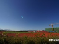 云南2020年初中生有哪些幼師學(xué)校？