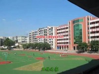 宜賓東方職業(yè)技術(shù)幼兒師范學校2023年招生錄取分數(shù)線