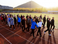石家莊幼兒師范高等?？茖W(xué)校歷年招生錄取分?jǐn)?shù)線