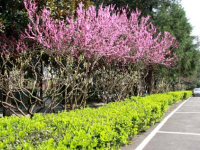 大同師范高等?？茖W(xué)校2023年招生錄取分?jǐn)?shù)線