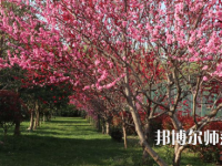 河南科技職業(yè)師范大學(xué)2023年怎么樣、好不好