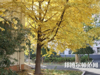 北京京北職業(yè)師范技術(shù)學(xué)院2023年報名條件、招生要求、招生對象