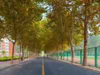 聊城師范大學(xué)東昌學(xué)院2023年報(bào)名條件、招生要求、招生對(duì)象