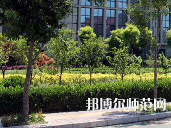 安陽幼兒師范高等?？茖W(xué)校2023年有哪些專業(yè)