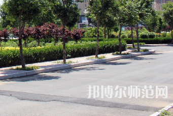 安陽幼兒師范高等?？茖W(xué)校2023年有哪些專業(yè)
