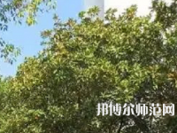 湖南理工師范學(xué)院南湖學(xué)院2023年怎么樣、好不好