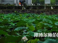 南華師范大學紅湘校區(qū)2023年報名條件、招生要求、招生對象