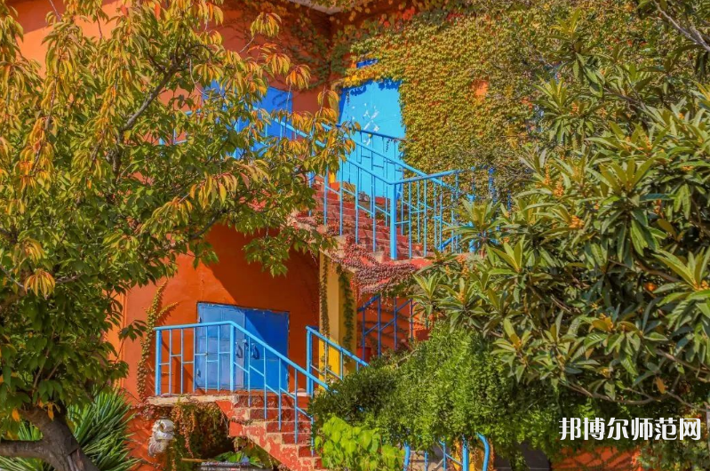 青島科技師范大學(xué)高密校區(qū)2023年報(bào)名條件、招生要求、招生對象 