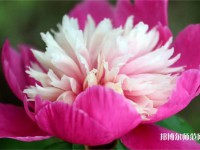 海南師范大學(xué)2023年報名條件、招生要求、招生對象