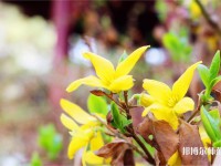 海南師范大學(xué)歷年招生錄取分?jǐn)?shù)線(xiàn)