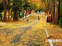 海南大學(xué)師范學(xué)院海甸校區(qū)2023年報名條件、招生要求、招生對象