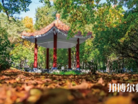 黑龍江師范大學(xué)2023年報(bào)名條件、招生要求、招生對(duì)象