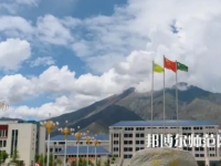 拉薩師范高等?？茖W(xué)校2023年招生代碼