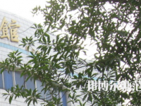 湖南師范大學樹達學院2023年怎么樣、好不好