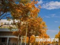 南京師范大學泰州學院2023年報名條件、招生要求、招生對象