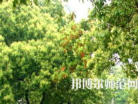 衡陽師范學院南岳學院2023年怎么樣、好不好