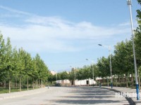 西北大學(xué)師范學(xué)院太白校區(qū)2023年報(bào)名條件、招生要求、招生對(duì)象