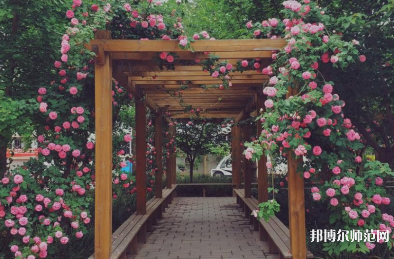 西安工業(yè)師范大學(xué)2023年報(bào)名條件、招生要求、招生對(duì)象