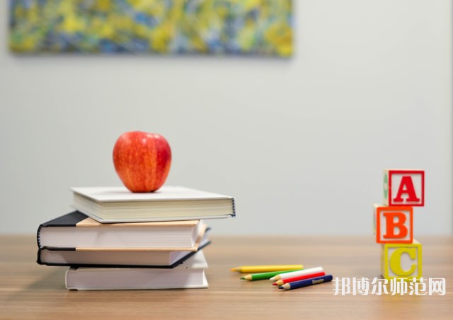 西昌第一幼師職業(yè)技術中學介紹、地址